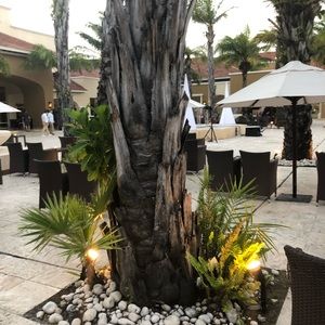 Meet your Posher, Layla